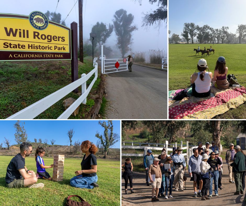 Will Rogers Collage 1 Will Rogers Collage 1